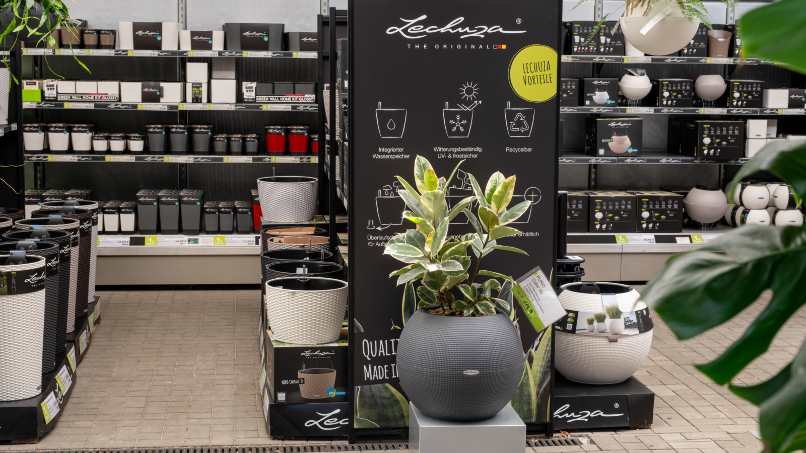 LECHUZA Stores 5