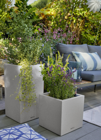 LECHUZA CANTO Stone Wuerfel Saeule 40 steingrau Lavendula Eucalyptus 2024 2