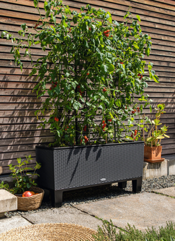 LECHUZA TRIO Cottage 40 gra Sockel Tomato 2020