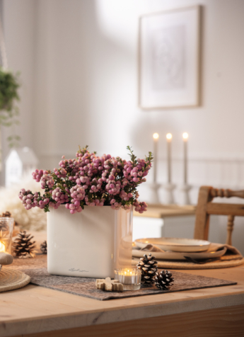 Aktion Dezember 2025