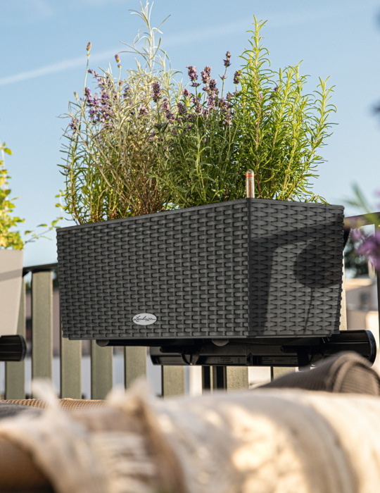 Angebot des Monats: BALCONERA