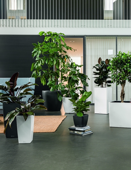 2026_01 Angebot Januar