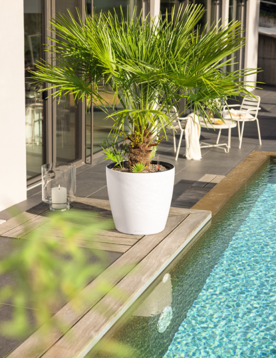 2026-06 Angebot Juni