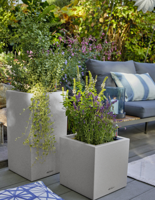 LECHUZA CANTO Stone Wuerfel Saeule 40 steingrau Lavendula Eucalyptus 2024 2