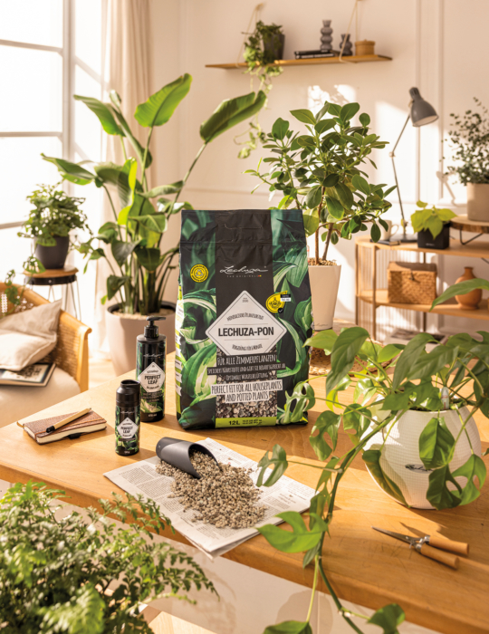 Promotion of the Month September 2025