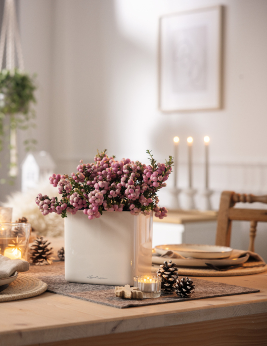 Aktion Dezember 2025