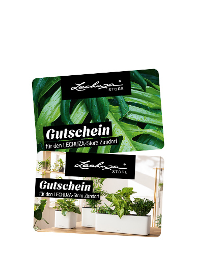 Geschenkgutschein