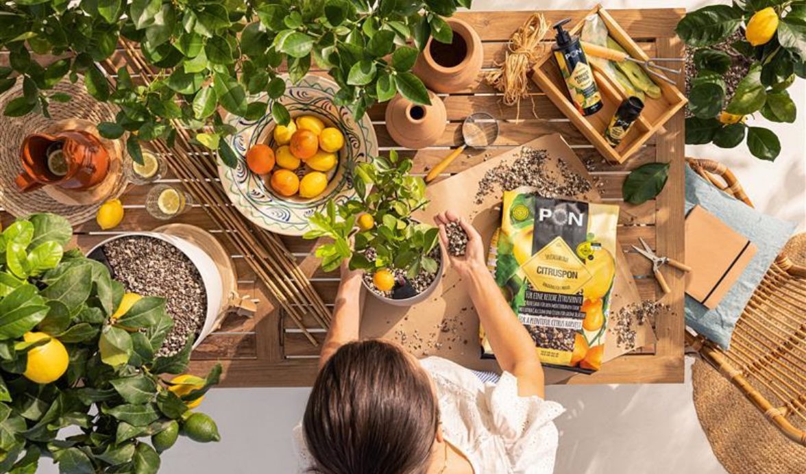 A LECHUZA CITRUSPON PERFECT CITRUS 2023 Ret WEB